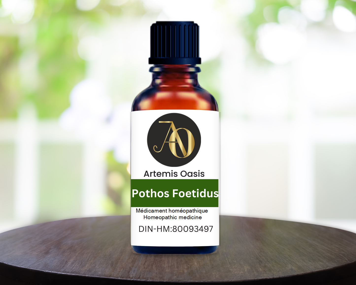 Pothos Foetidus - Artemis Oasis